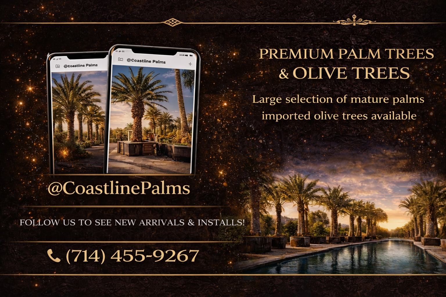 Coastline Palms call to action banner